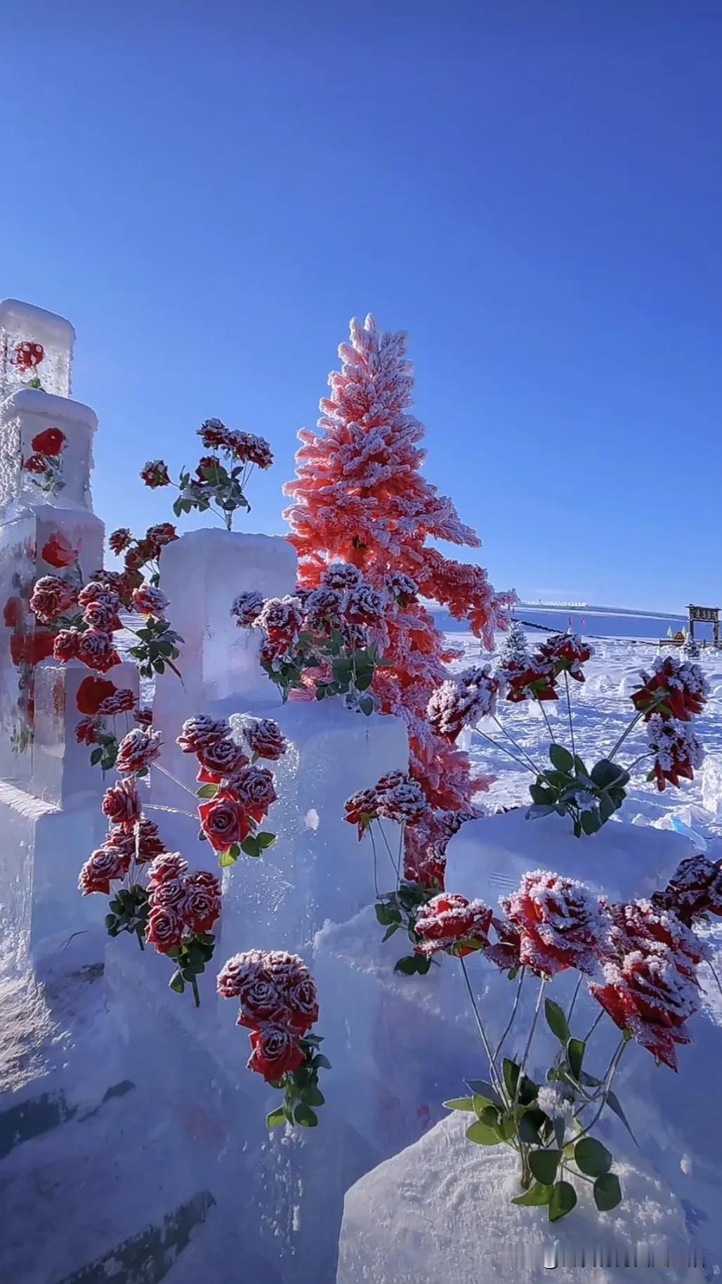 冰雪奇缘的童话世界，真的美到让人窒息！
就像我的家乡本溪，立冬那天，气温骤降，一