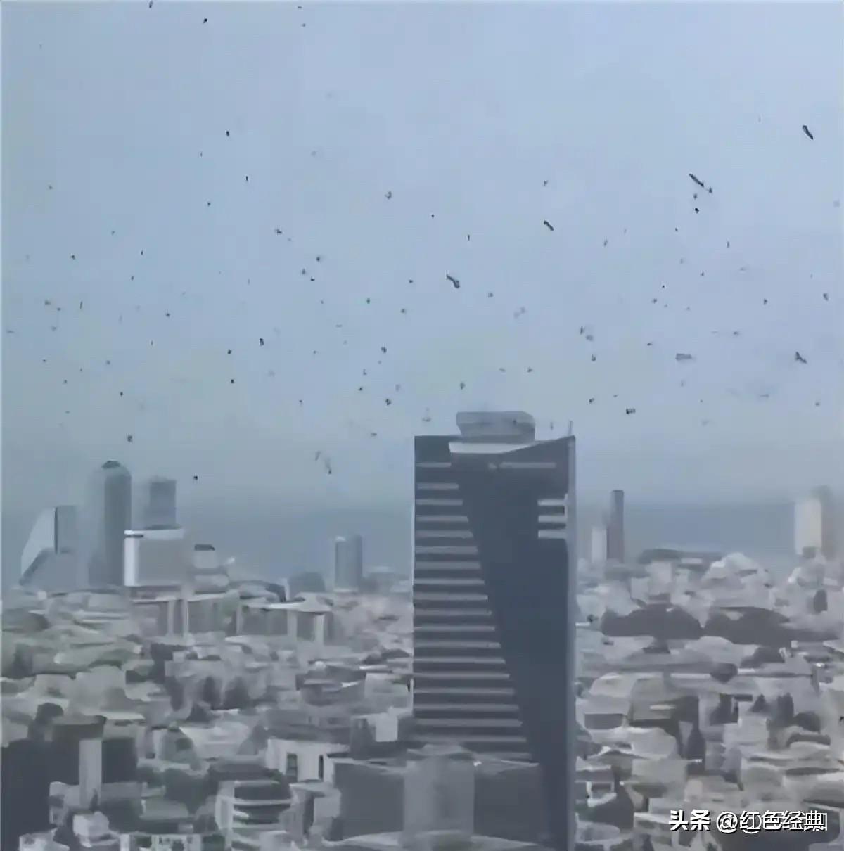 特拉维夫上空乌鸦云集！

日前，以色列首都特拉维夫被报道上空乌鸦云集，遮天蔽日。