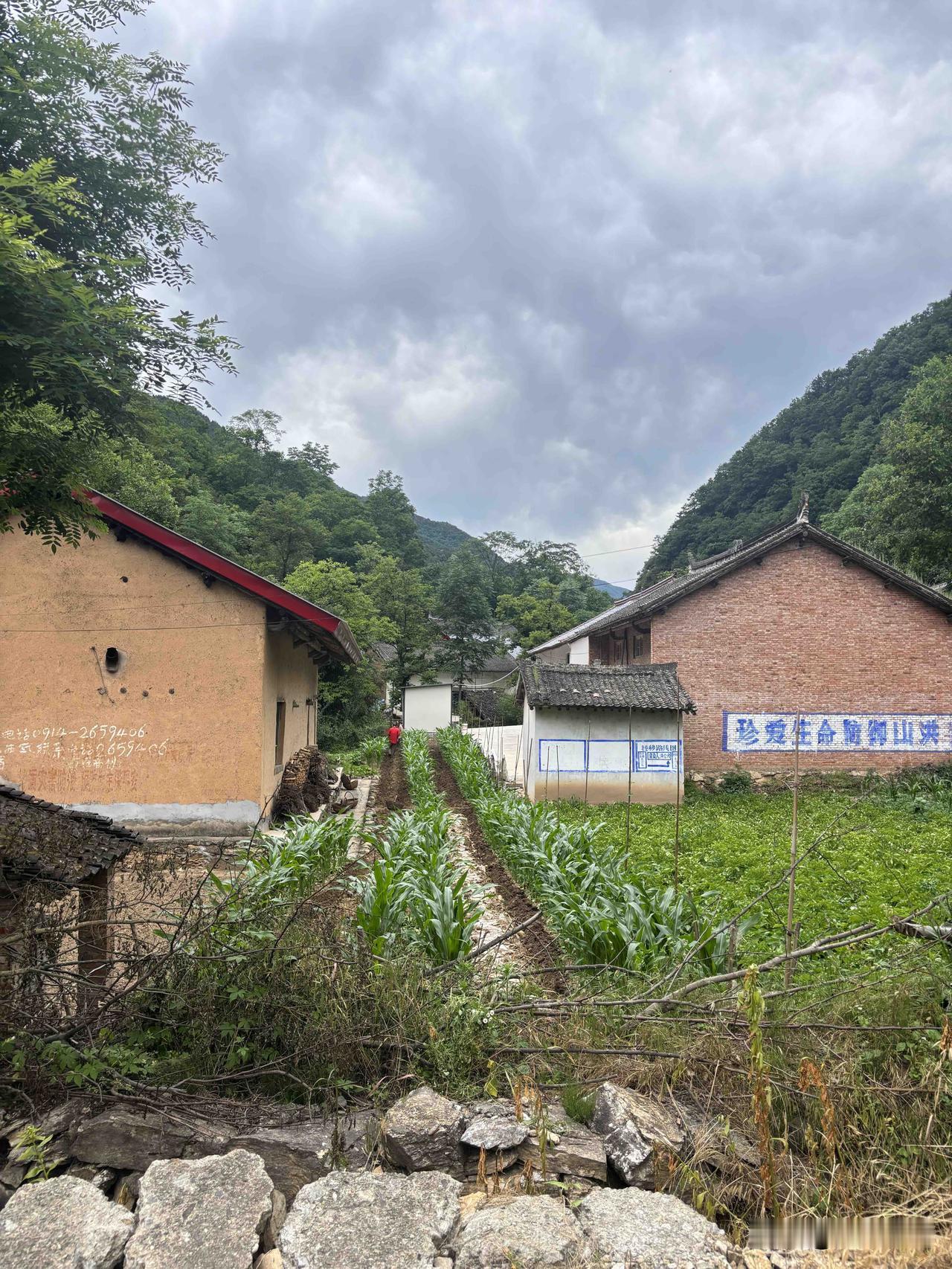 商洛牧护关韩胡路随拍，阮家院旁边这路，往北通到哪里去了，往南是韩峪川