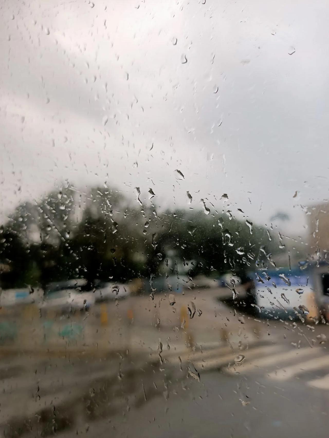今天是11月19日，深圳下雨了，天气一下子从炎热转凉，路人昨天还是半袖短裤的打扮