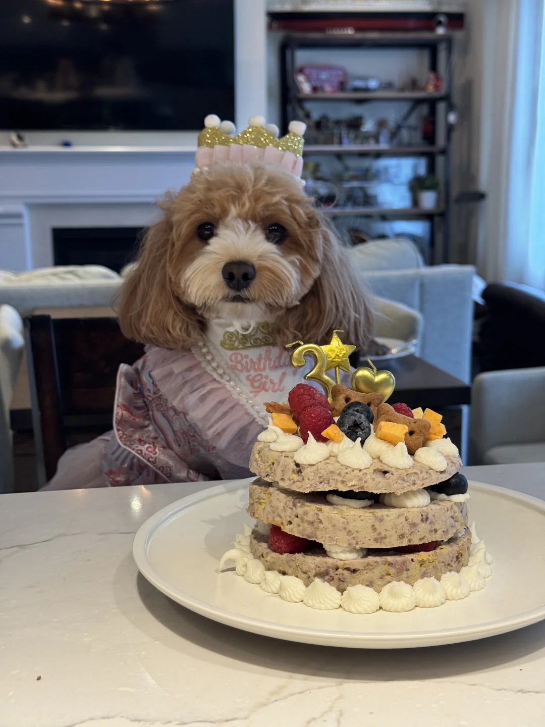 我的查理3岁啦🎂