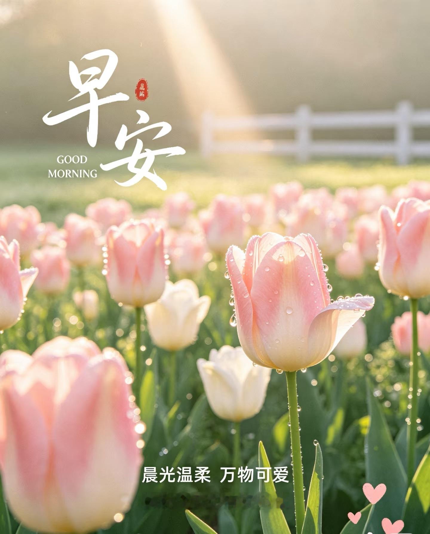 早安 𝒢𝑜𝑜𝒹 𝓂𝑜𝓇𝓃𝒾𝓃𝑔 🌻稳得住情绪，才撑得起节