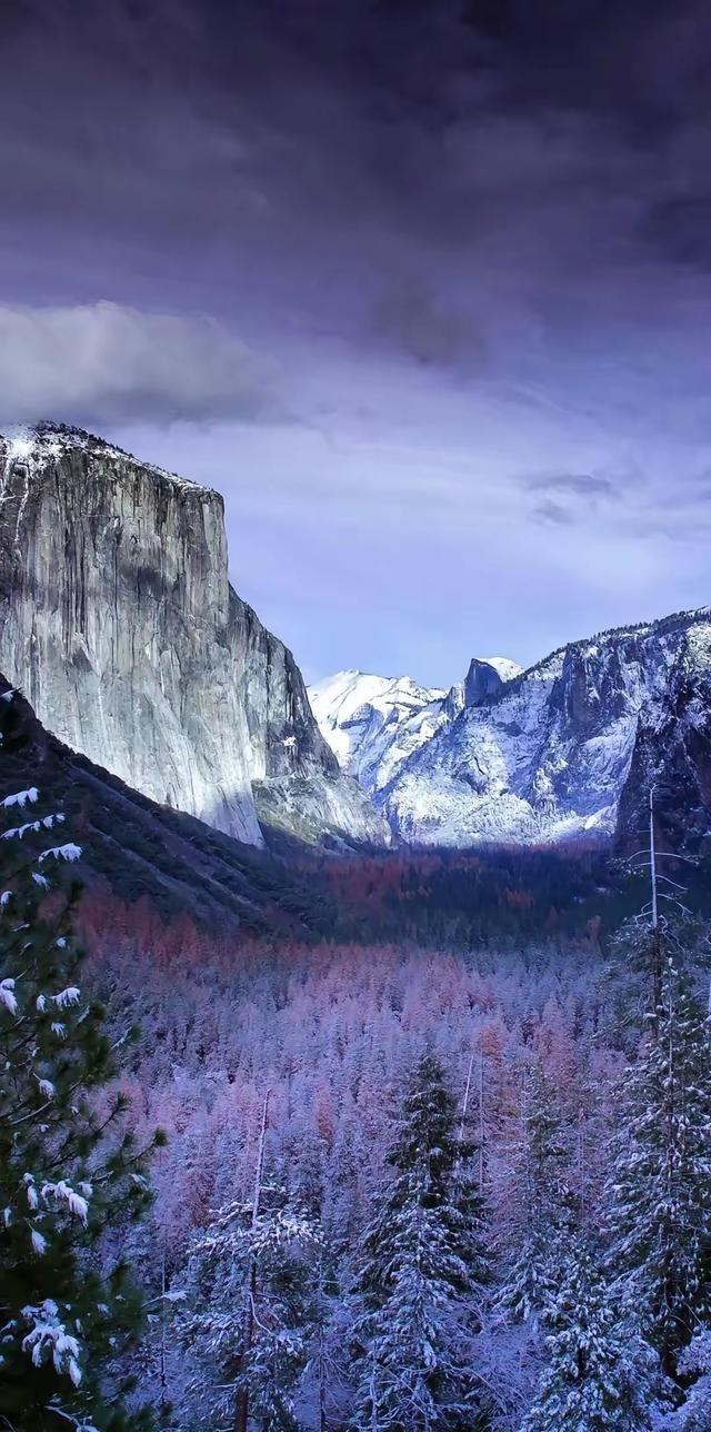 一位生物学教授说： “性欲就是大自然为了让你送命而下的高级陷阱，你以为你在享受，