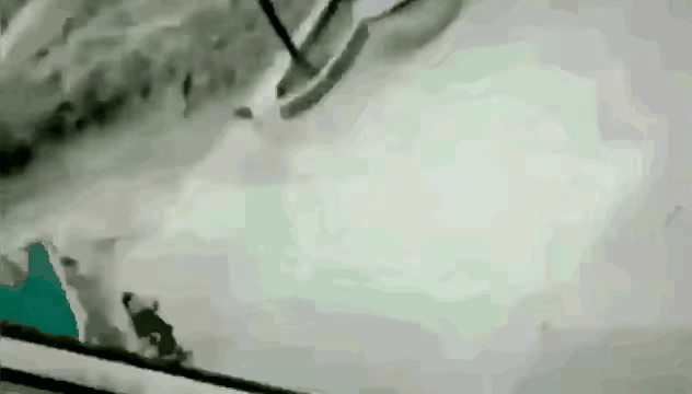 这种人不配做母亲，更不配做人。
她的行为举止真的让人无法理解！明明看到车来了，已