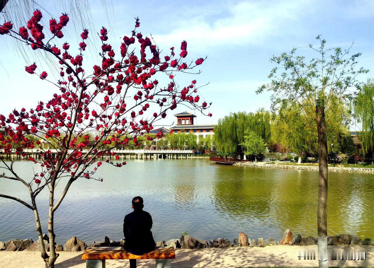 大像山公园的春天，简直是一场视觉盛宴。一进公园，就能看到道路两旁的桃花竞相开放，