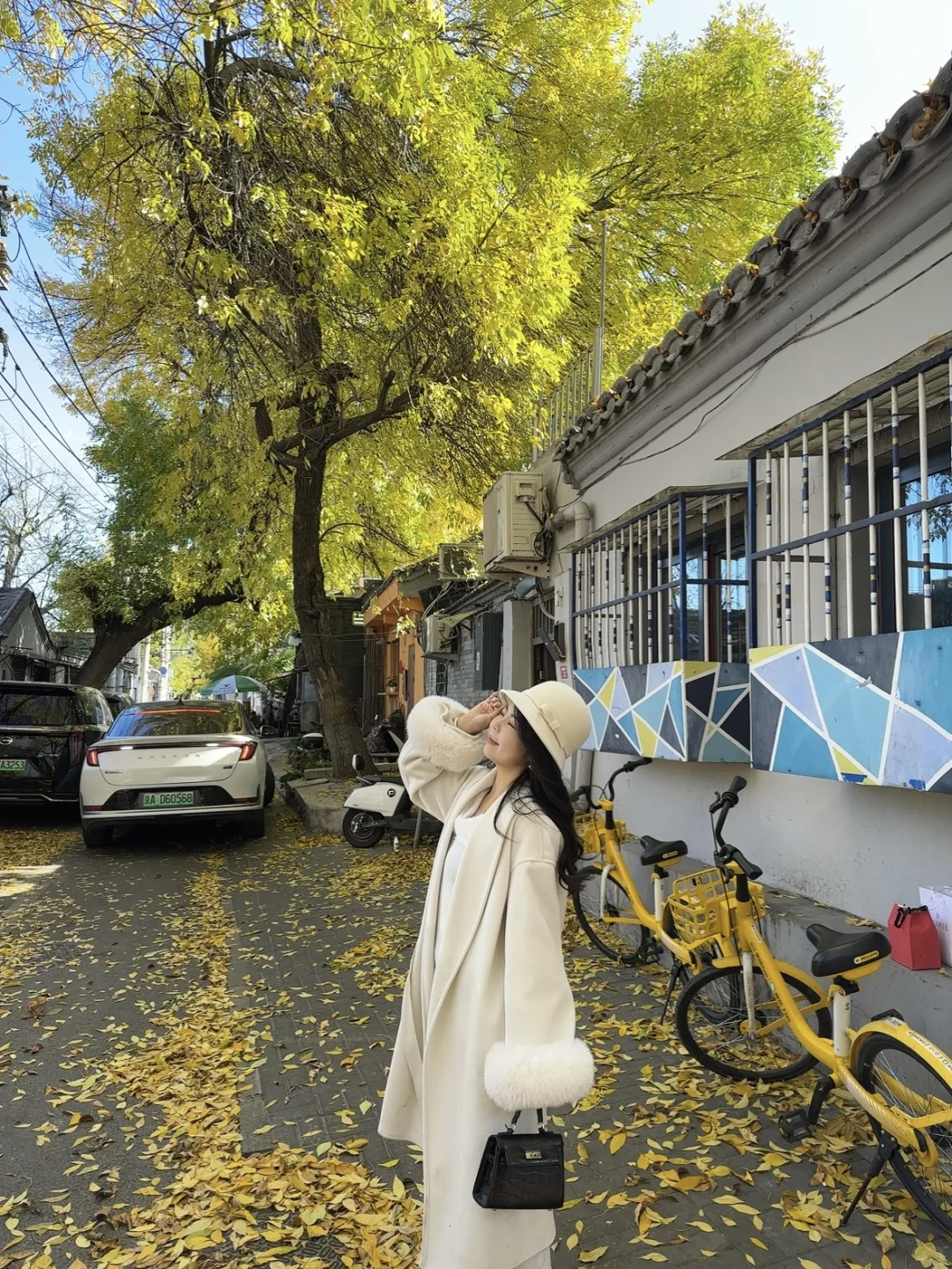 北平的秋天🍂便是人间天堂……