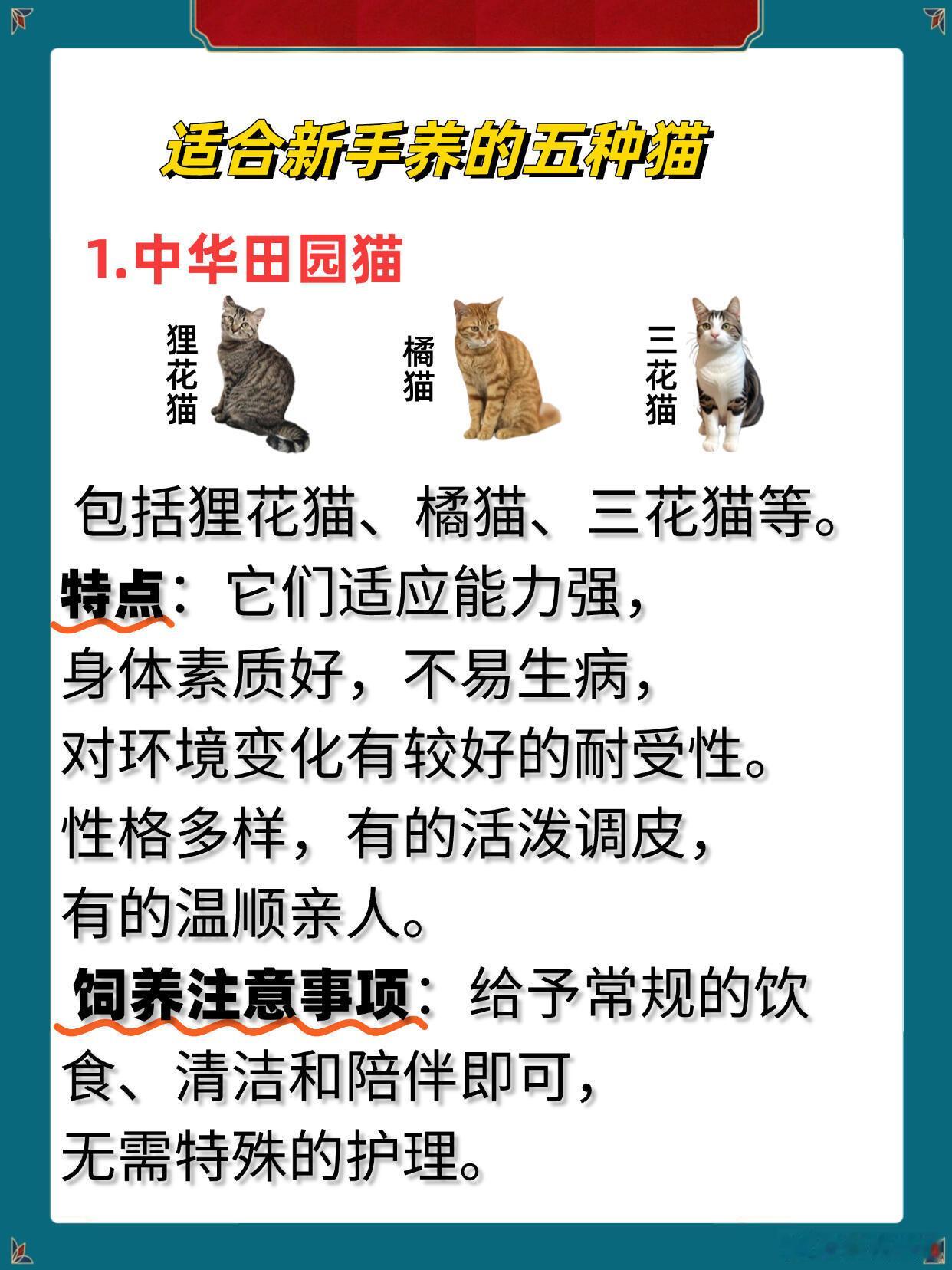 适合新手养的五种猫   对于准备踏入铲屎官门槛的新手来说，选择哪种猫咪可是个大学