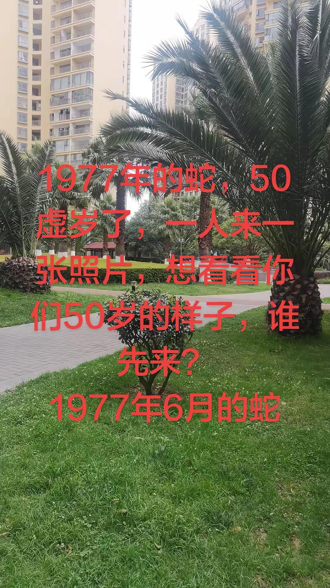 我先来，别开美颜，美颜是个大骗子！