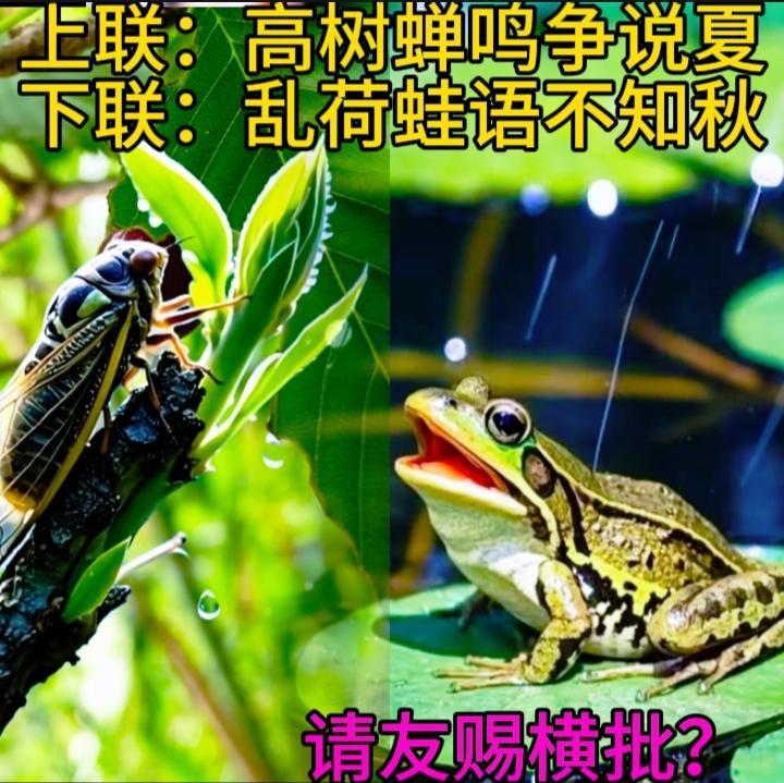 请友友赐横批？