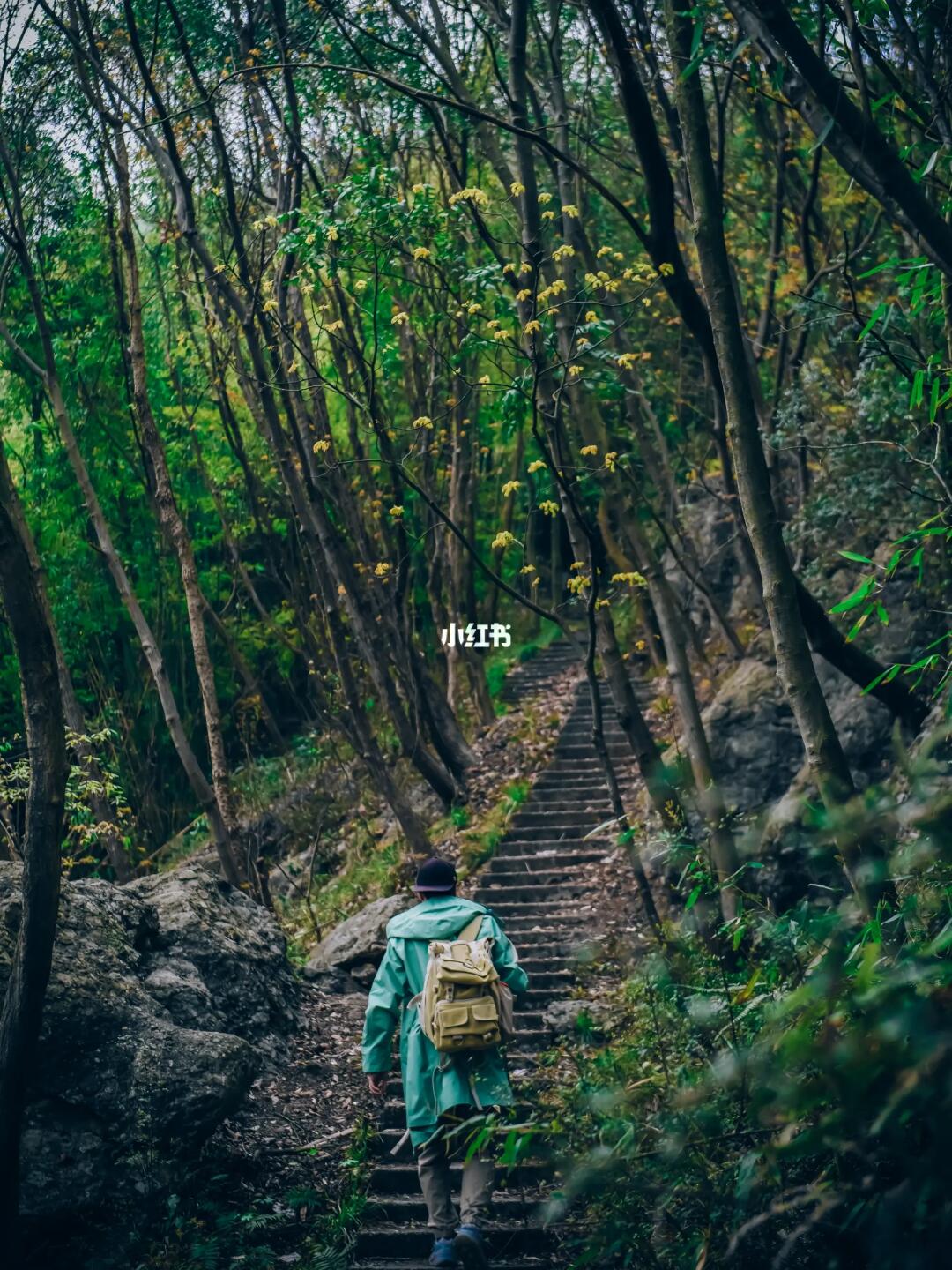 成都1.5h，登山访古寺幽静路线附攻略