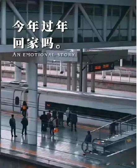 今年过年回家吗？

有钱没钱回家过年！还没有回家前说的天花乱坠。回家后抱怨从早到