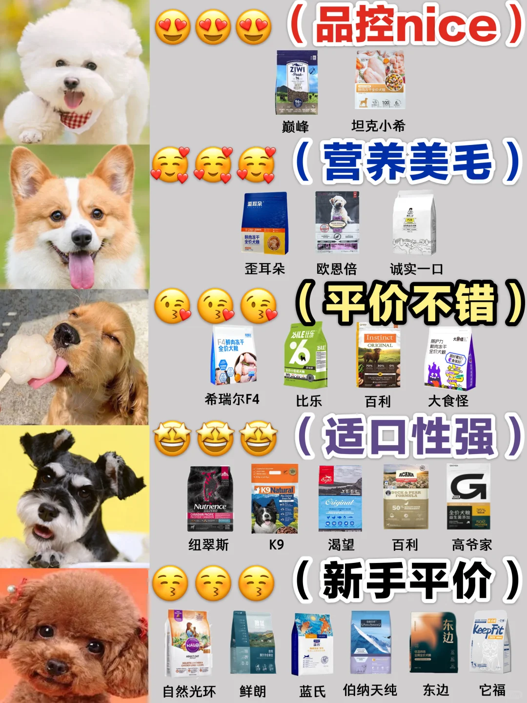 新手养狗党进‼做功课的热门新品狗粮真能打