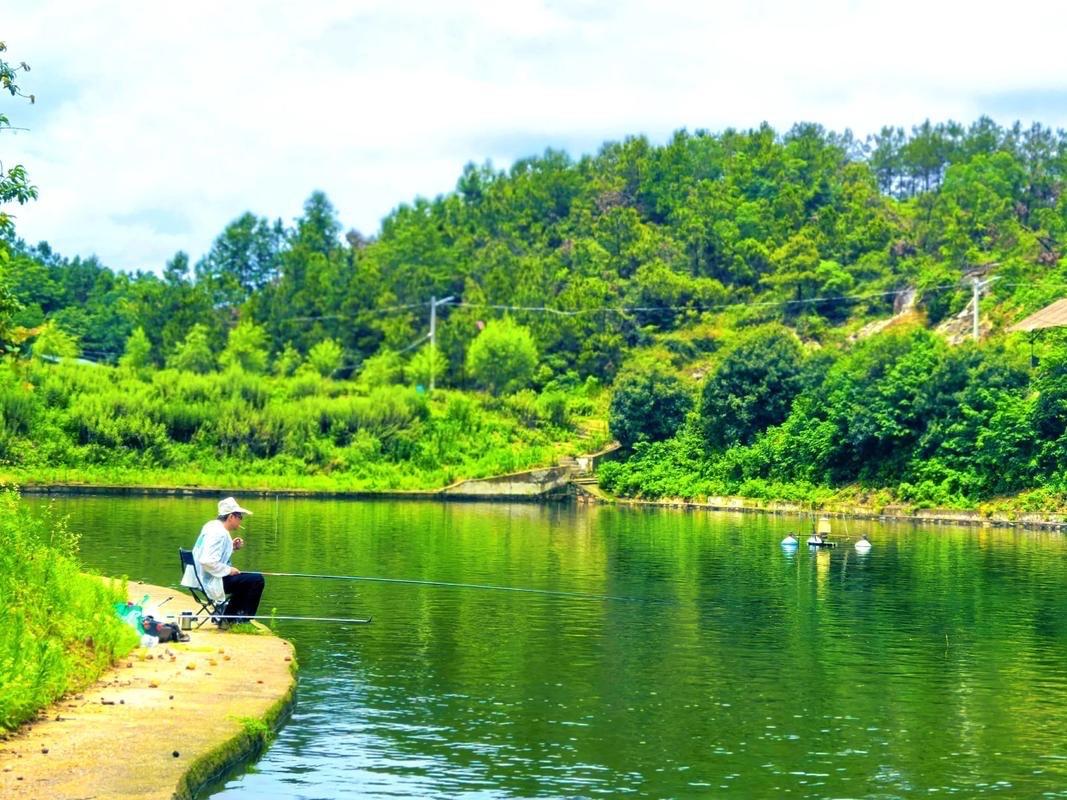 臨江仙 · 夏山行

颭颭柳絲頻蘸水，
連場大雨除塵。
清風無力降高溫。
野塘游