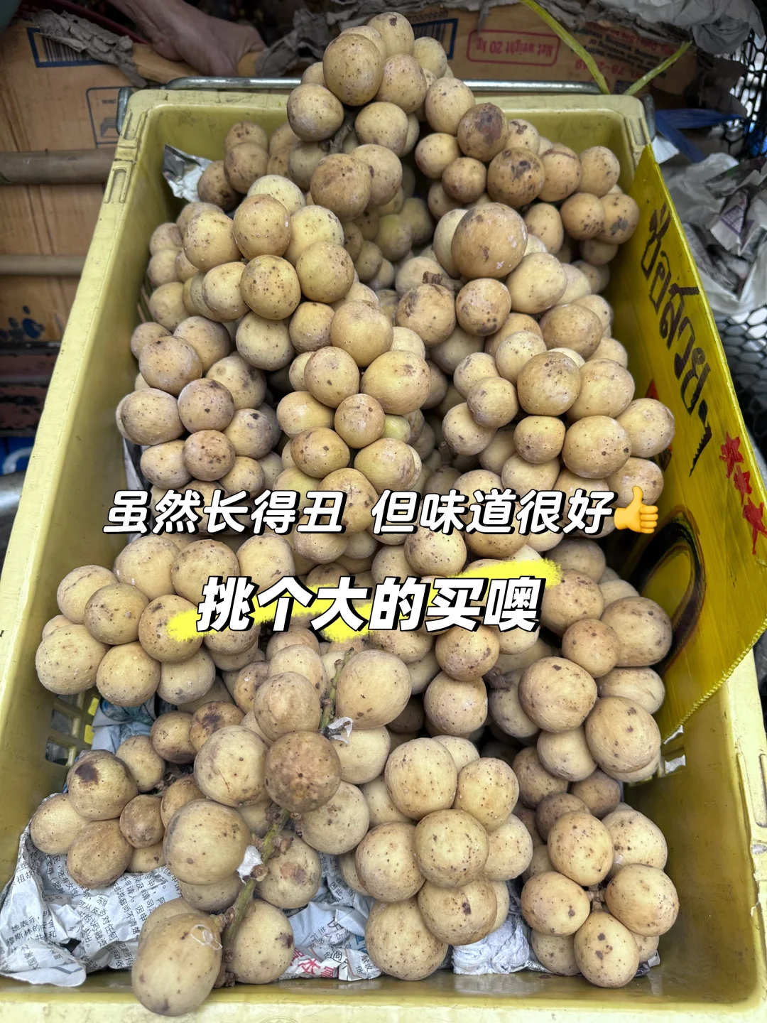 泰国特色🇹🇭水果车｜泰国龙宫果