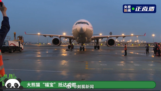 【平安抵达！#福宝到家了#】4月3日，旅韩大熊猫“福宝”平安抵达成都。（央视新闻