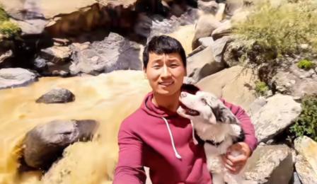 太心疼了！网红狗“锄头”被偷走地点曝光，终究还是没能回来！瘦猴表示绝不和解，一定