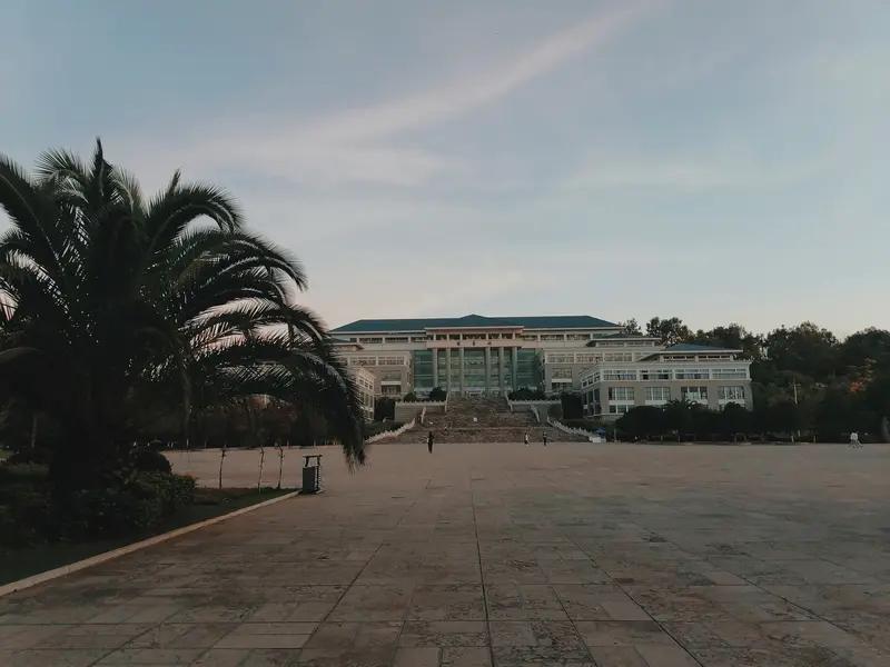 2026年2月19日晚间，日本福冈市出大事了。有民众报警，说当地一个图书馆前发生