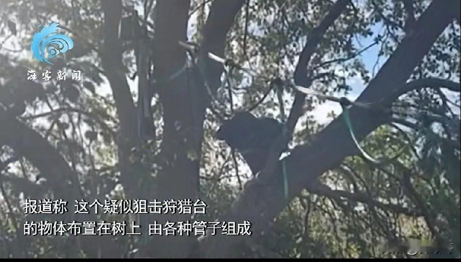 据美国媒体报道，美国当地时间16号，在佛罗里达国际机场附近，美国联邦安保特工发现