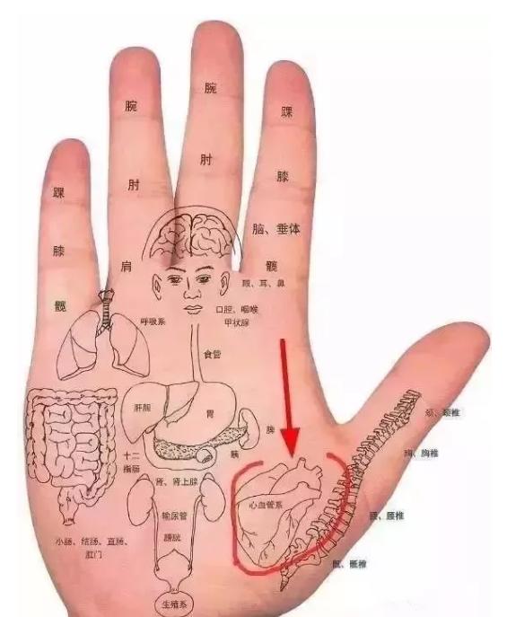 人体自带的“天然救心丸”，家中有老人的，建议一定要收藏保存起来[谢谢][谢谢][