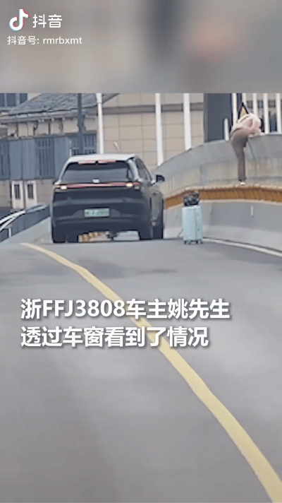 上人民日报了，
浙江姚先生开车经过大桥时，看到一位女子扔下行李箱，爬上栏杆。
