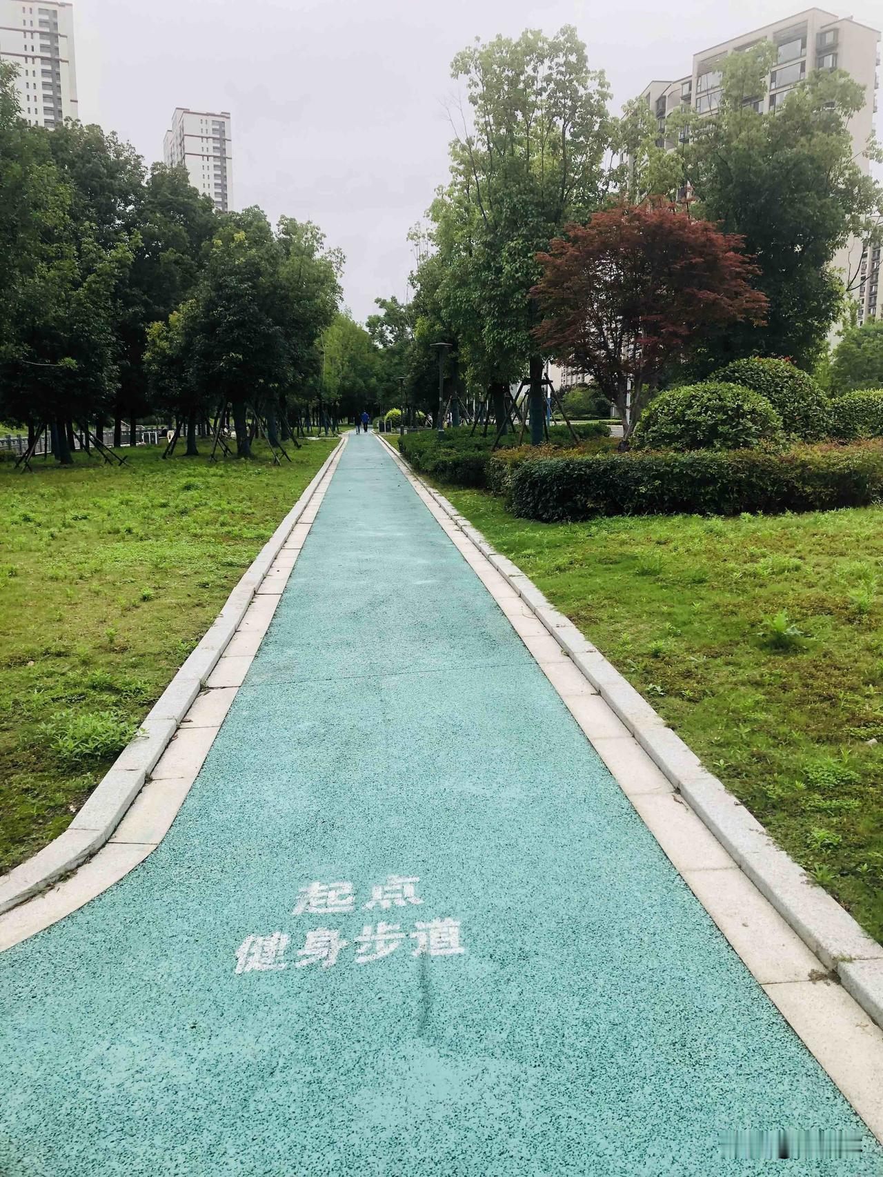 夏日生活打卡季沿河步道绿意浓浓，青草间缀满细碎紫花，树木枝叶繁茂郁郁葱葱。塑胶健