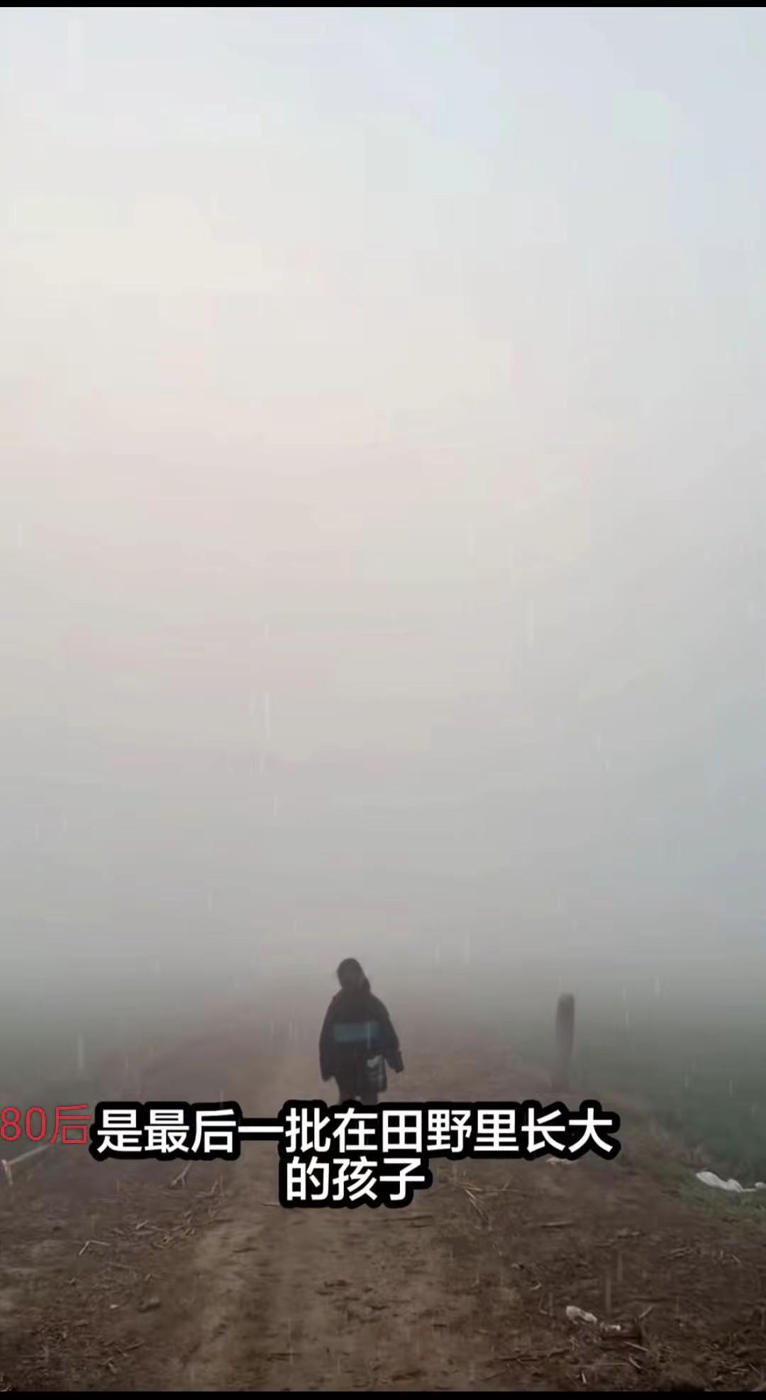 小时候田间的雾 回不去的童年，回不去的村庄