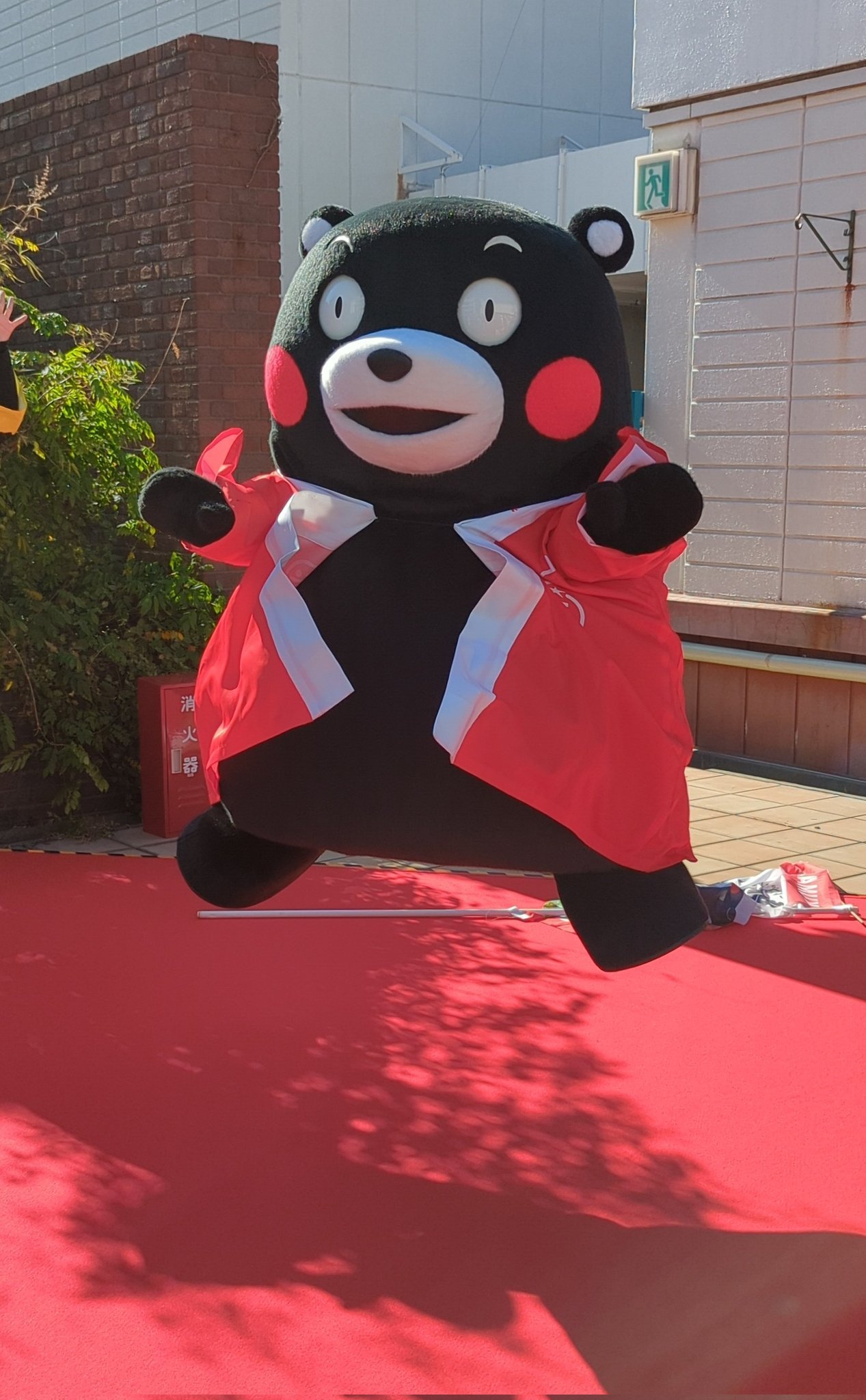 2023年最后一个月，跳起来拥抱好运！ ​​​