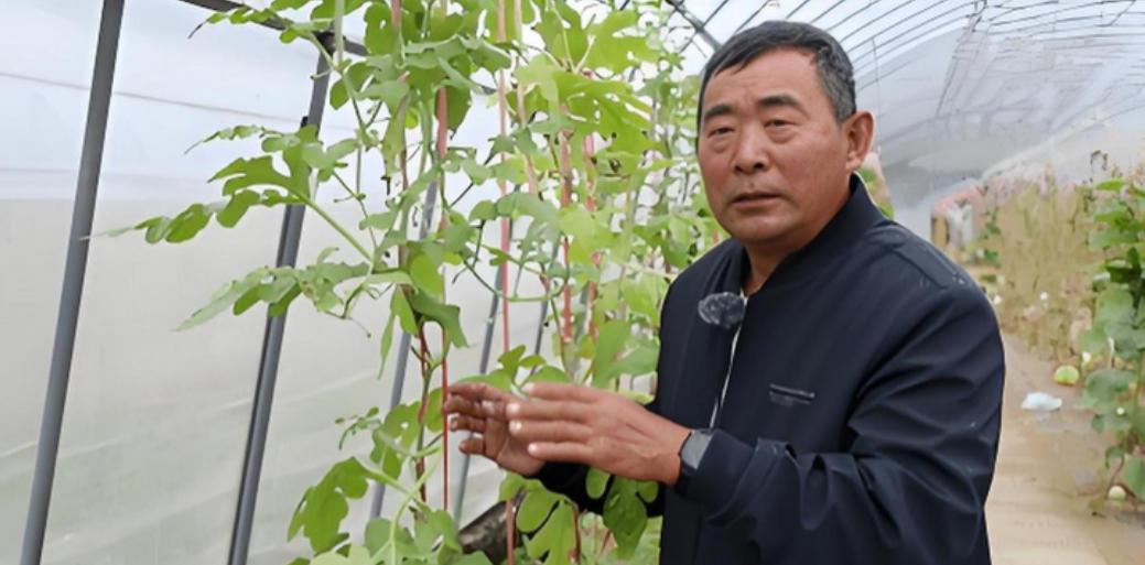 一位没上过大学，连高中都没毕业的黑龙江农民，拒绝300万美元的挖角，攻克了让美国