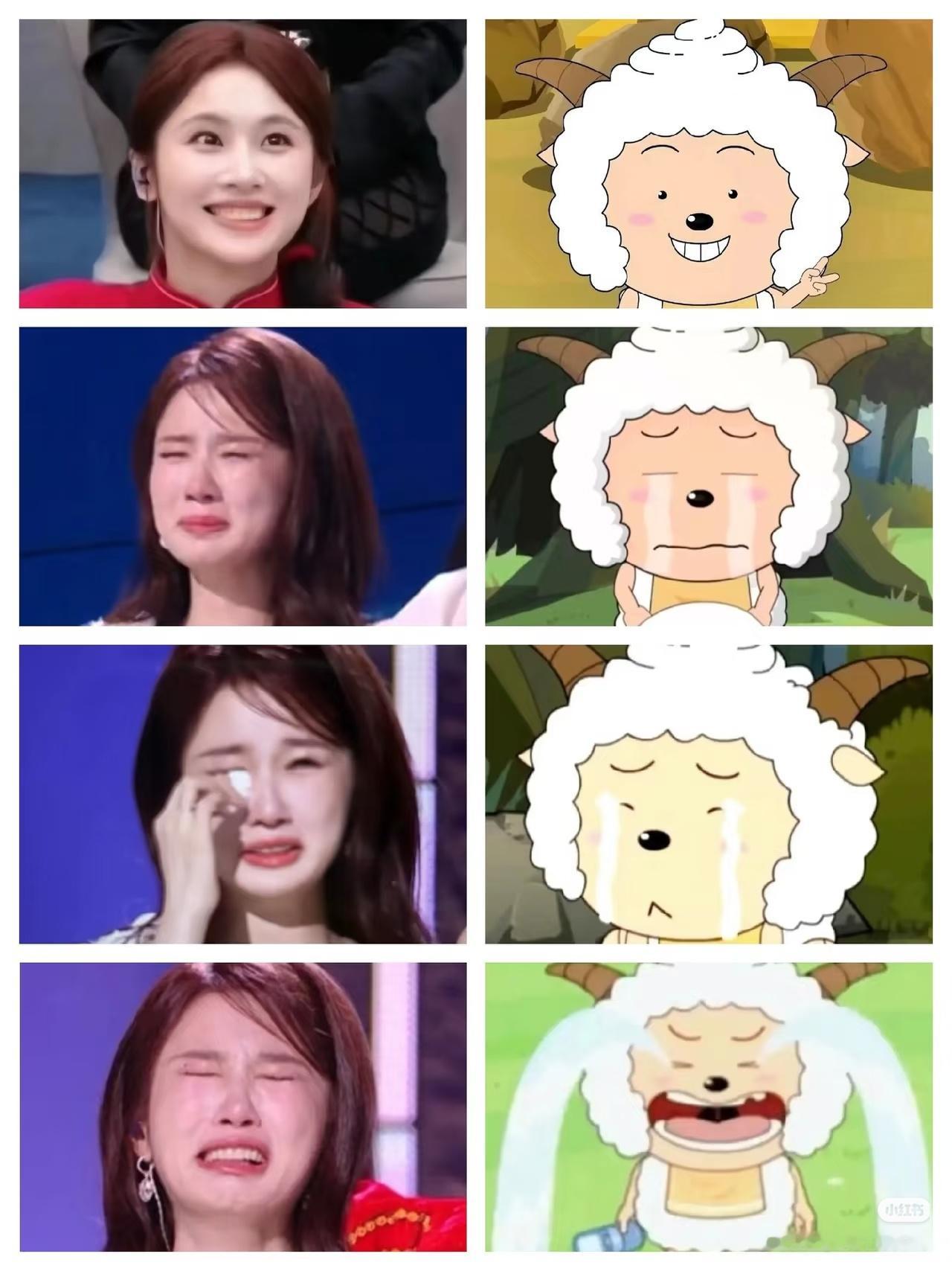 这个张慧雯就这样哭成懒羊羊 