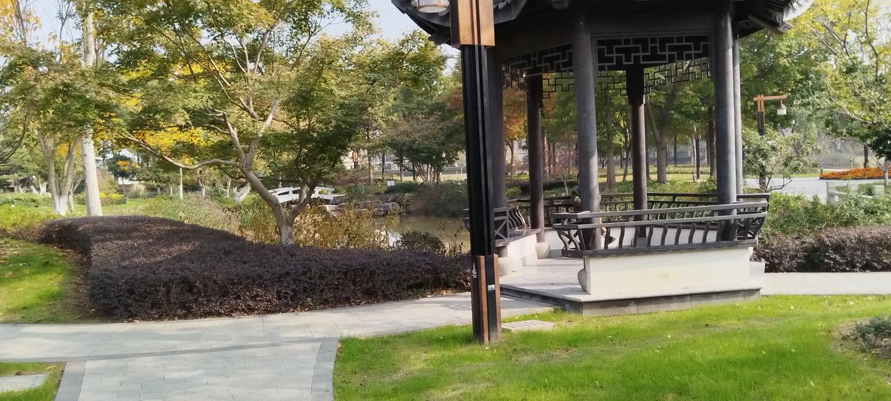 静谧的公园，清风徐来。