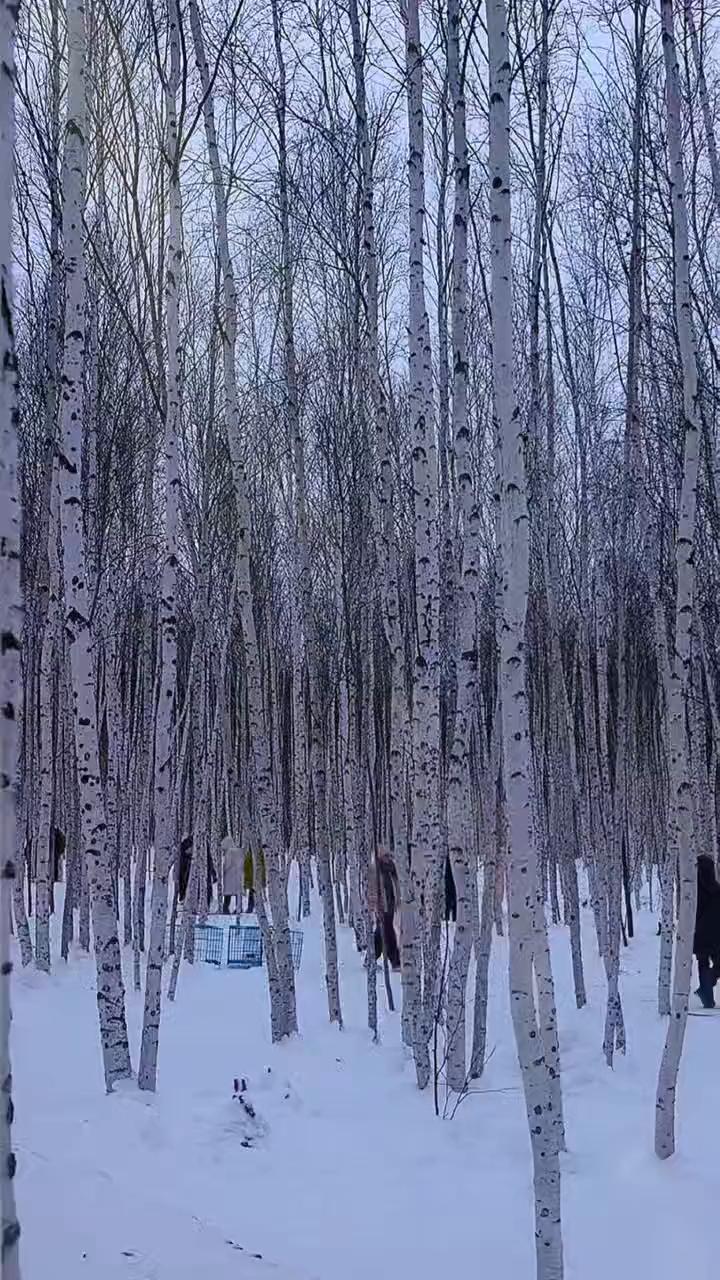 时光缓缓，清浅而行，邂逅初冬的美。一季风景，一季柔情。