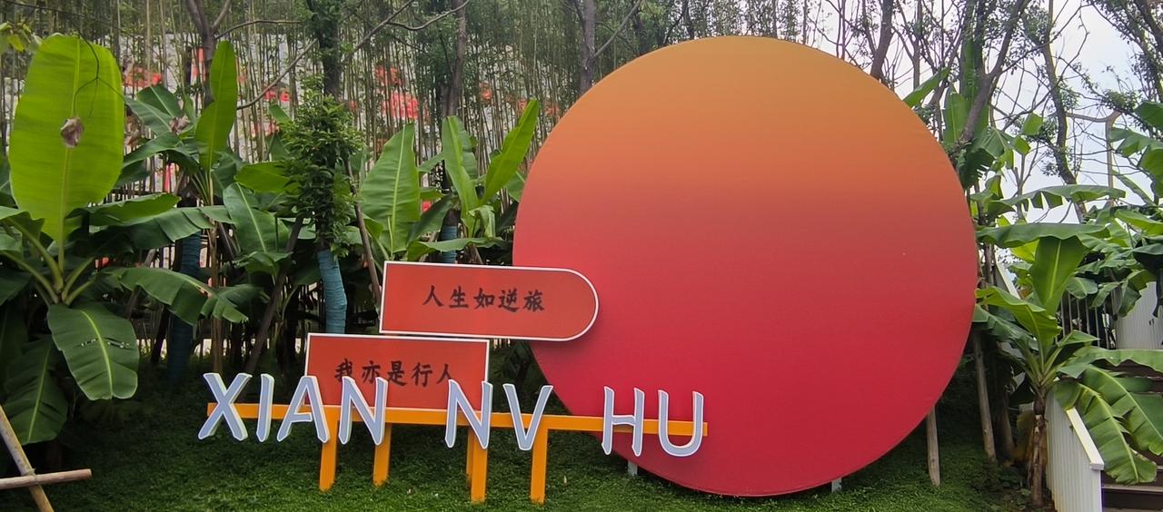 仙女湖之秋
风踮着脚走过湖面
 波纹便形成无数银片
远山静卧在云雾中
蘸着暮光描