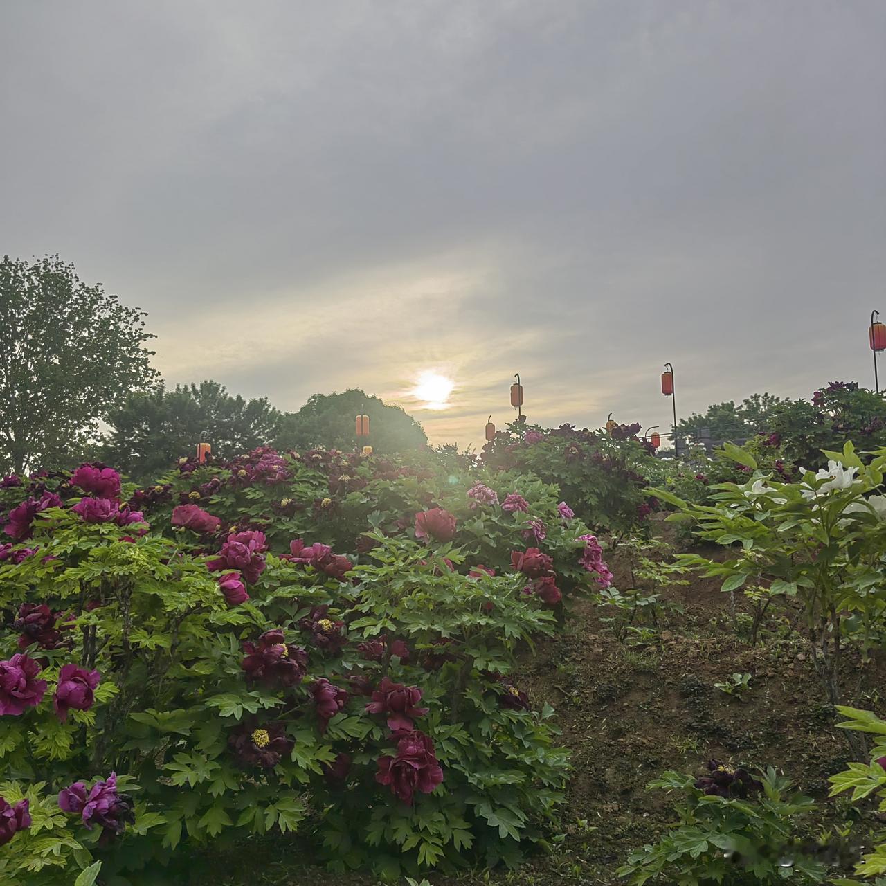 我不想以学历来定论一个人，也无意轻视学历低的同事，更无意以岗位区分一个人。
办公