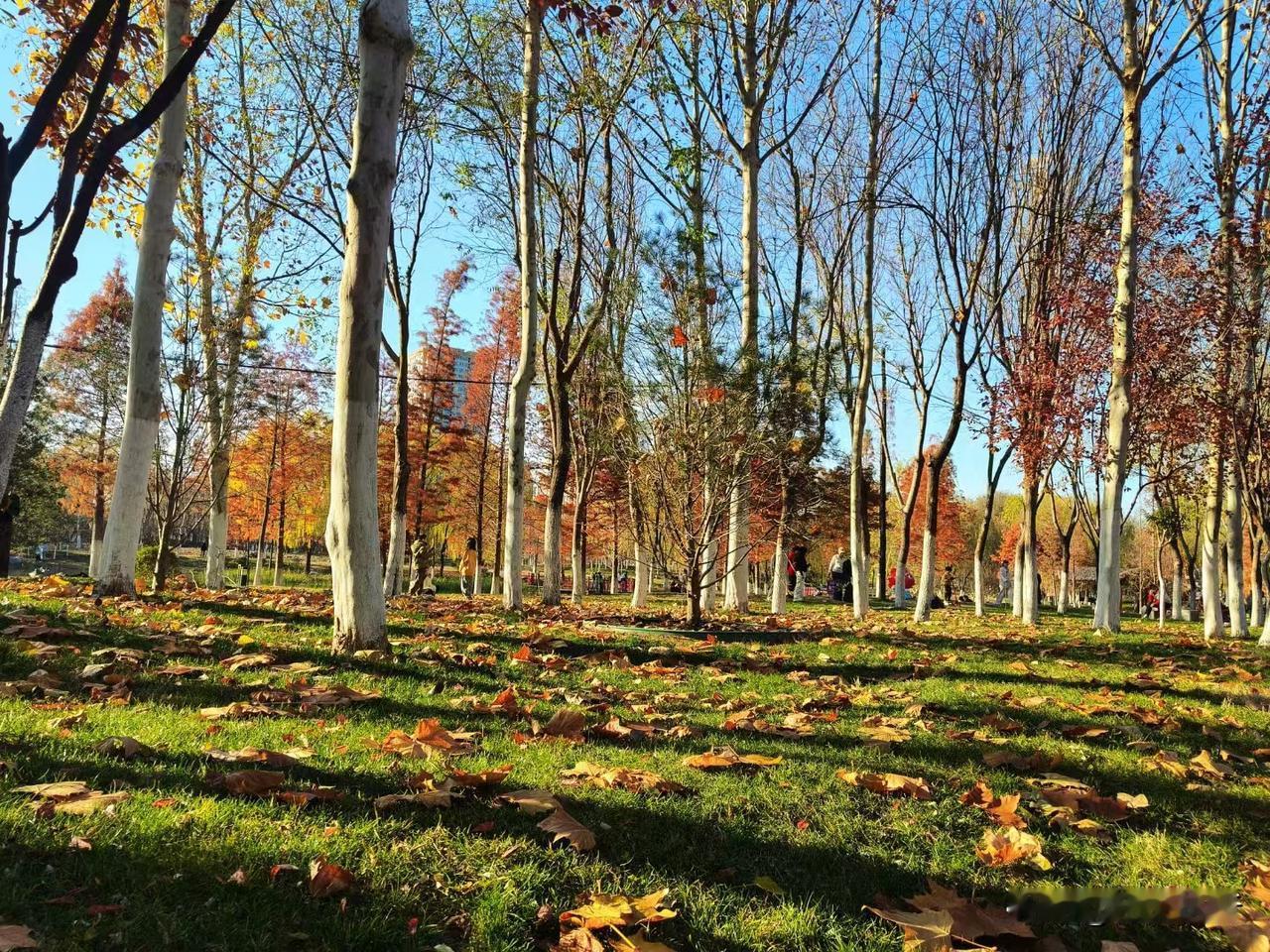 养生的最简单五条。
1. 早睡早起，少熬夜。
2. 饮食清淡，多吃蔬果。
3. 