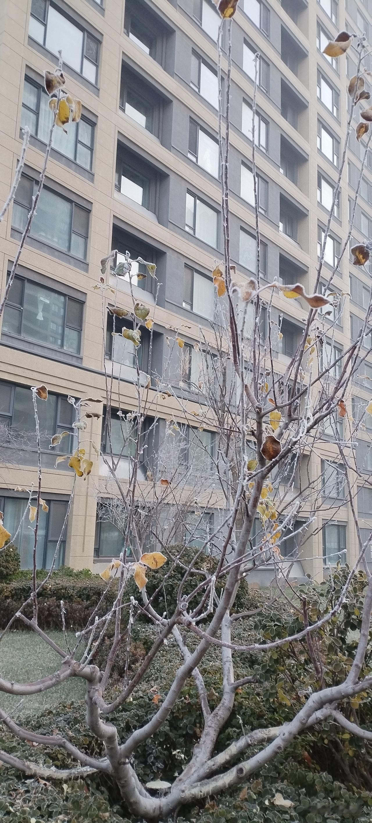 好的友情不是天天发消息，也不是有是没事都腻歪一起，好的友情就像老话说的那样，君子