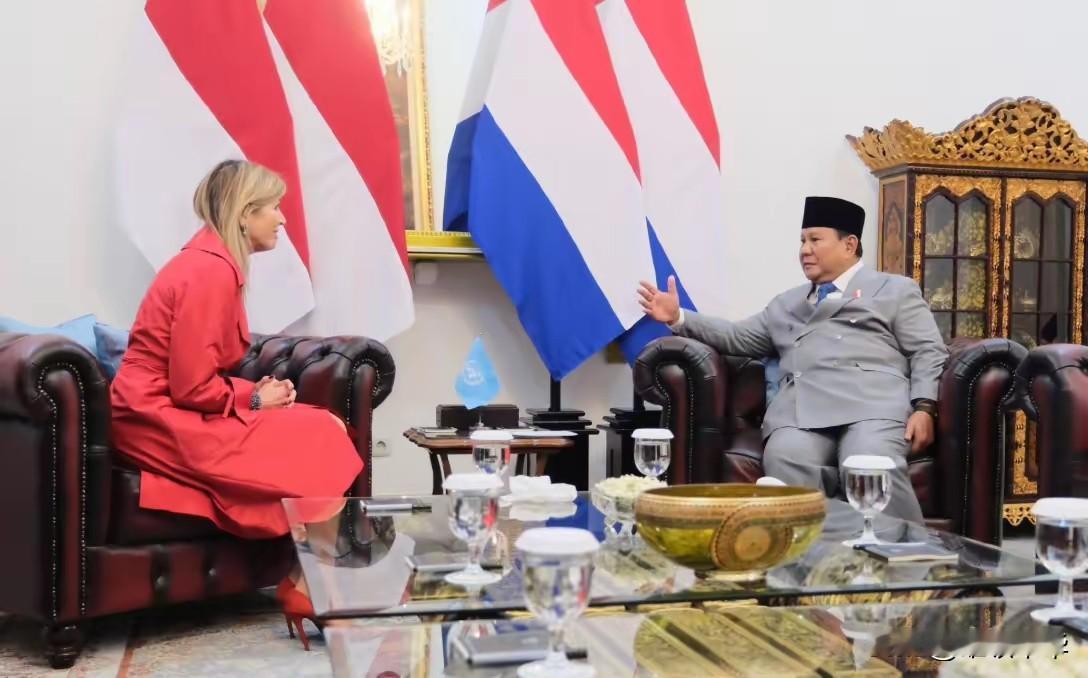 这是东道主印尼总统普拉博沃会晤荷兰王后的情景，由于双方“默契”的配合，演变成为上