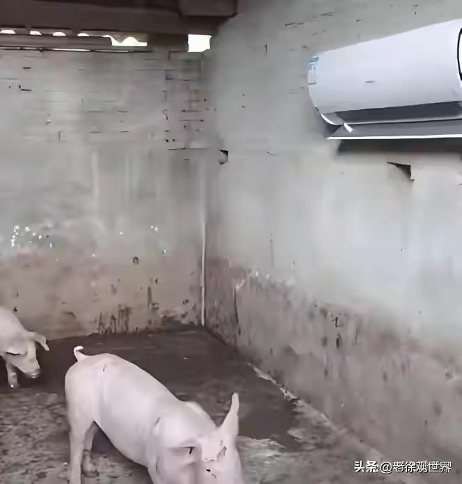 可以凡尔赛，可是咱别对法国人凡尔赛，那里有真正的凡尔赛！

最近法国遭遇极端高温