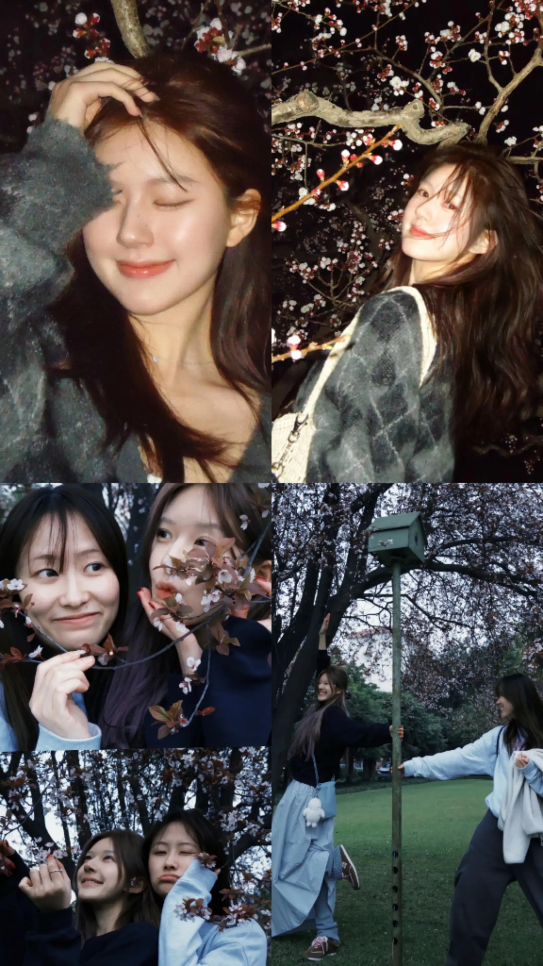 “有些情绪是该说给懂的人听”