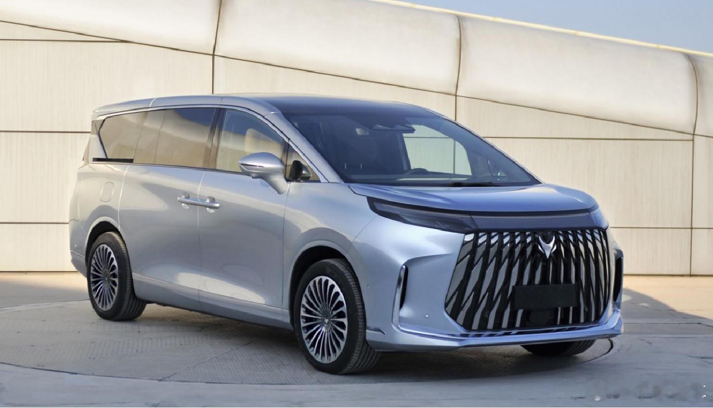 极狐这个MPV也申报了   增程