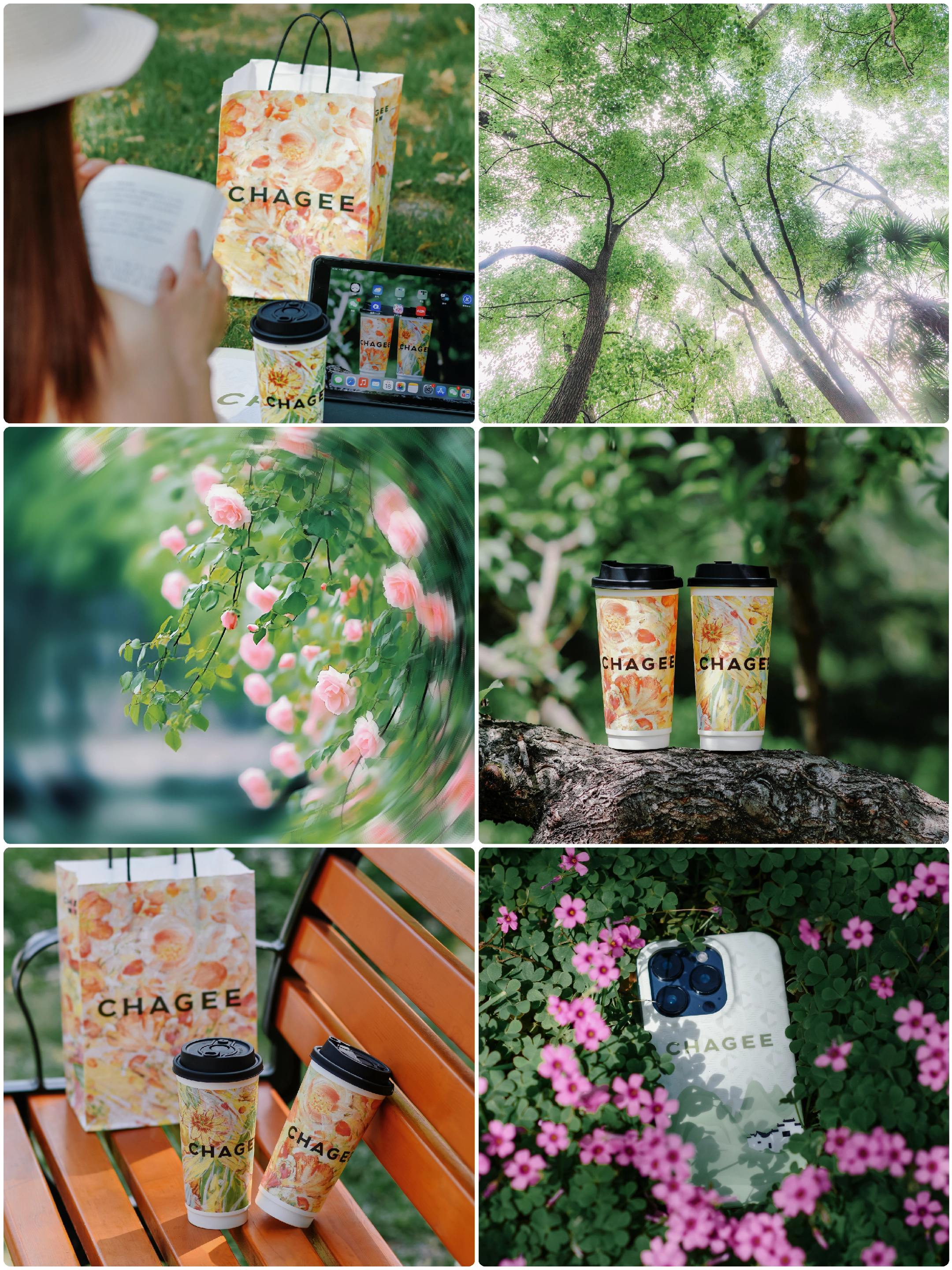 霸王茶姬～春日出游 文艺感满满。🌿林间的光像是被打翻的万花筒 忽闪忽...
