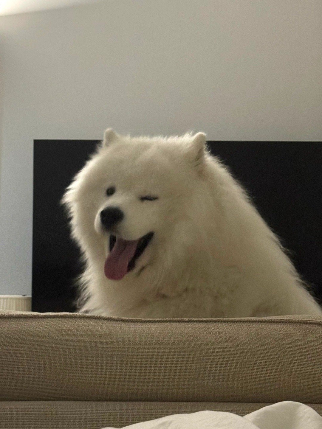 恭喜你一起床就看到了朝你wink的耶耶！ 