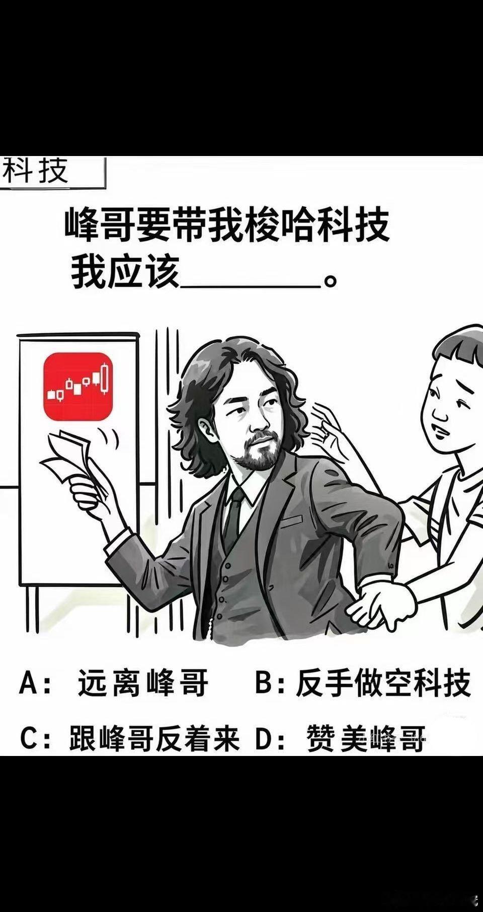 我选D：赞美峰哥
