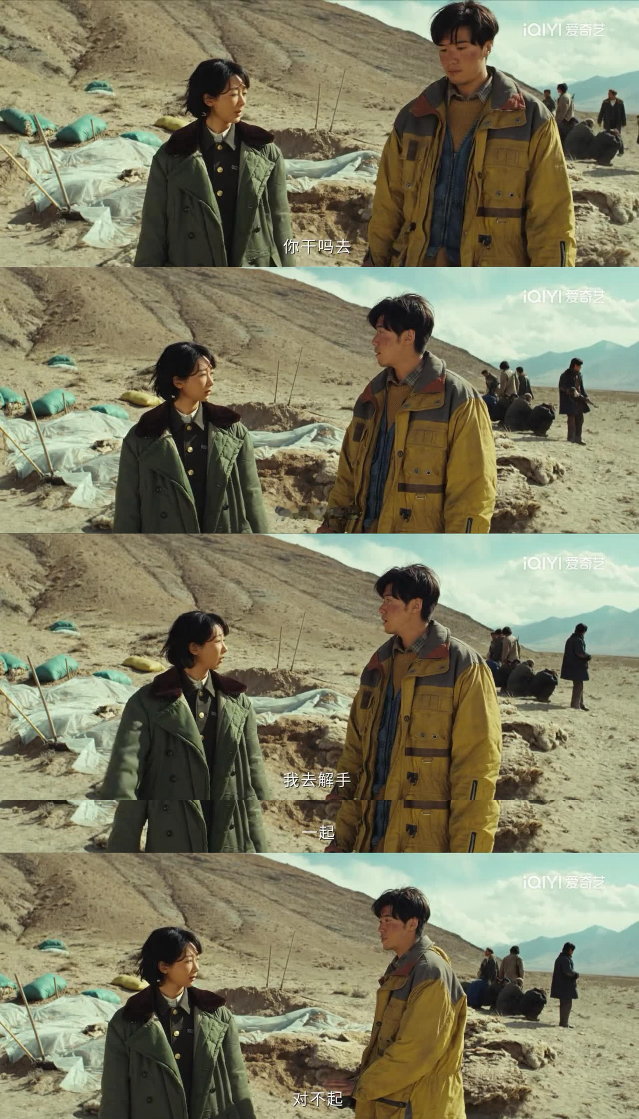 这个白菊太好玩了生命树 生命树收视率