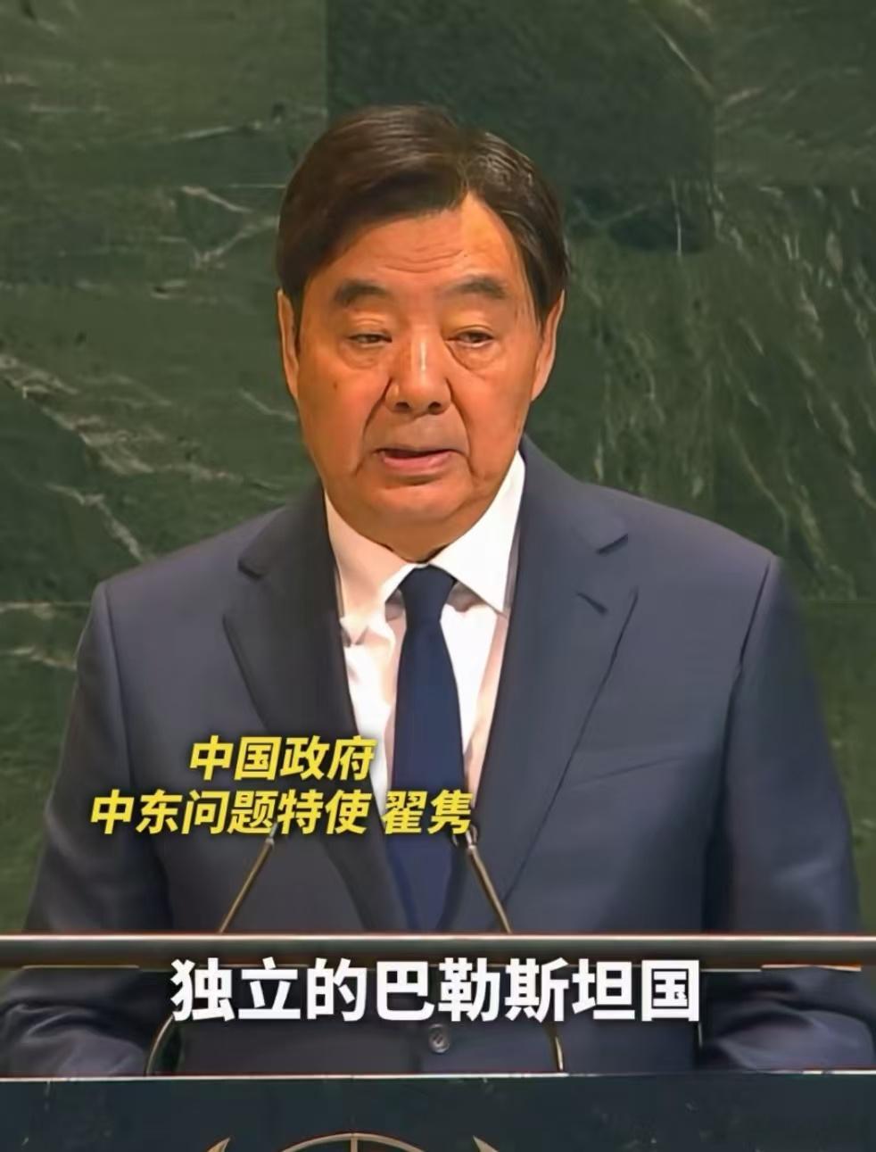 中方坚定支持巴勒斯坦建国7月29日，中国政府中东问题特使翟隽在落实“两国方案”联