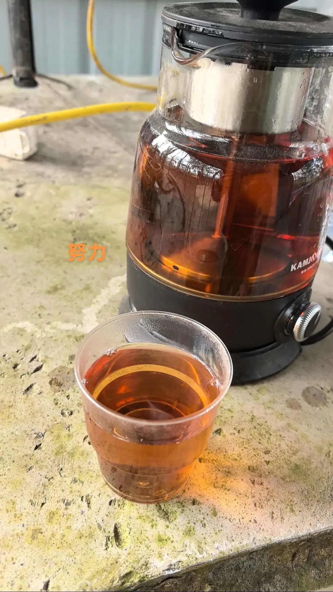 好东西一起分享给大家 今天你喝茶了吗