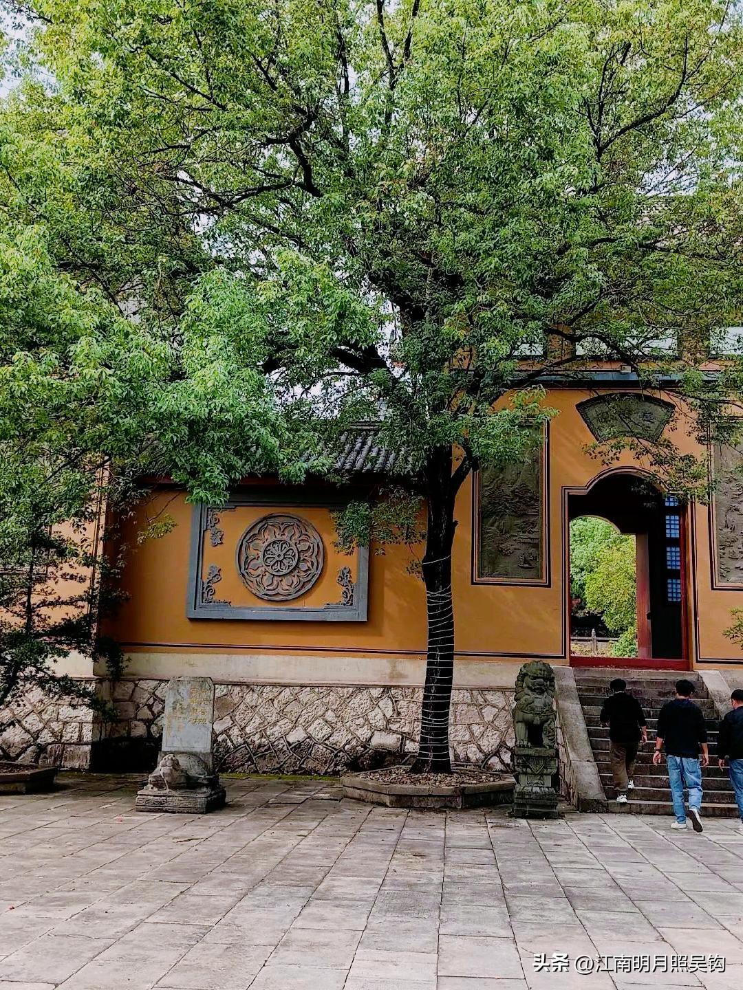 浙江横店大智禅寺，长期免费向社会大众提供免费斋饭，真是太有爱了！浙江 东阳 大智
