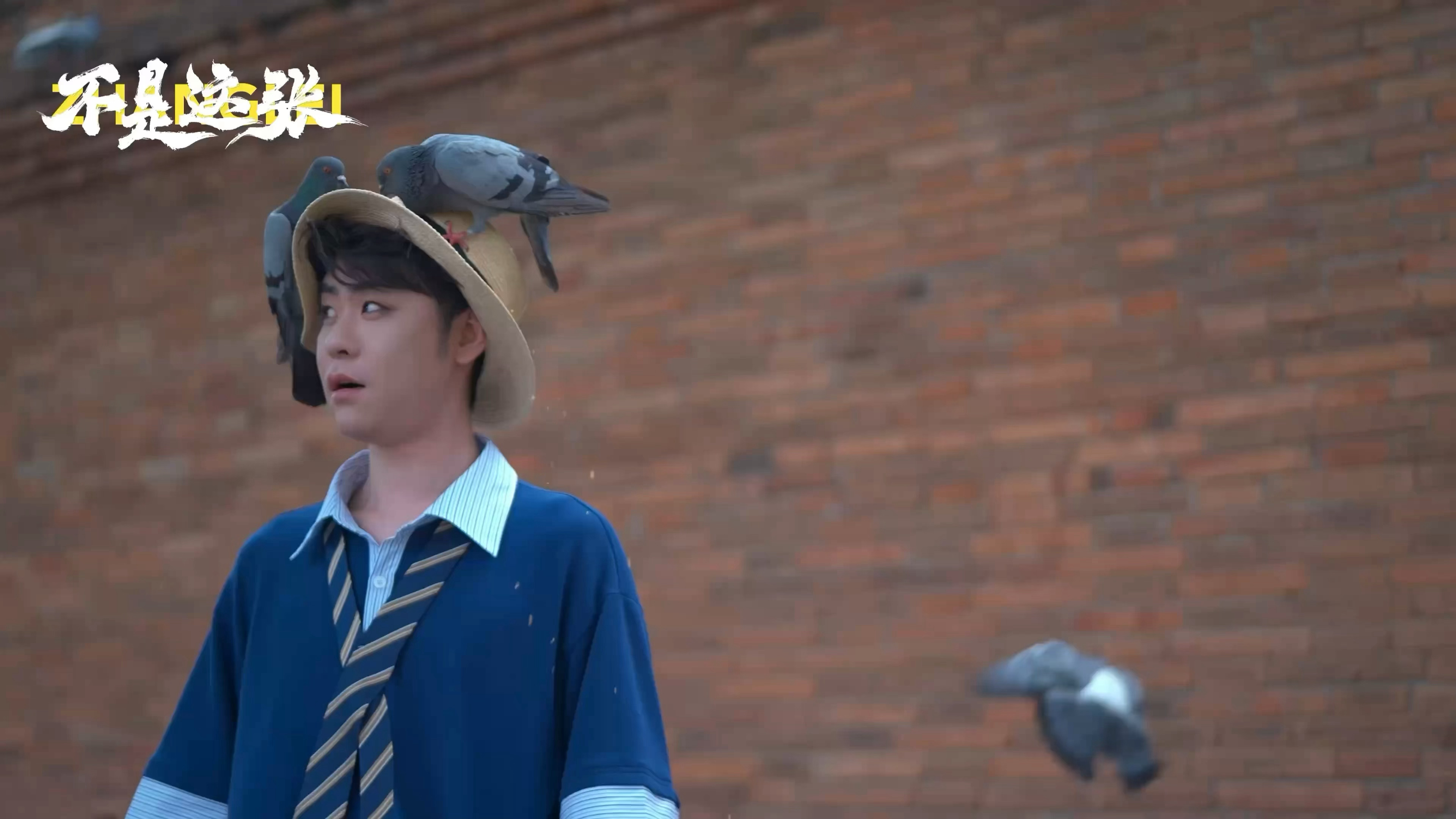 鸽子在他头上这段小表情好可爱小宝宝既视感一动不敢动 又惊又怕的