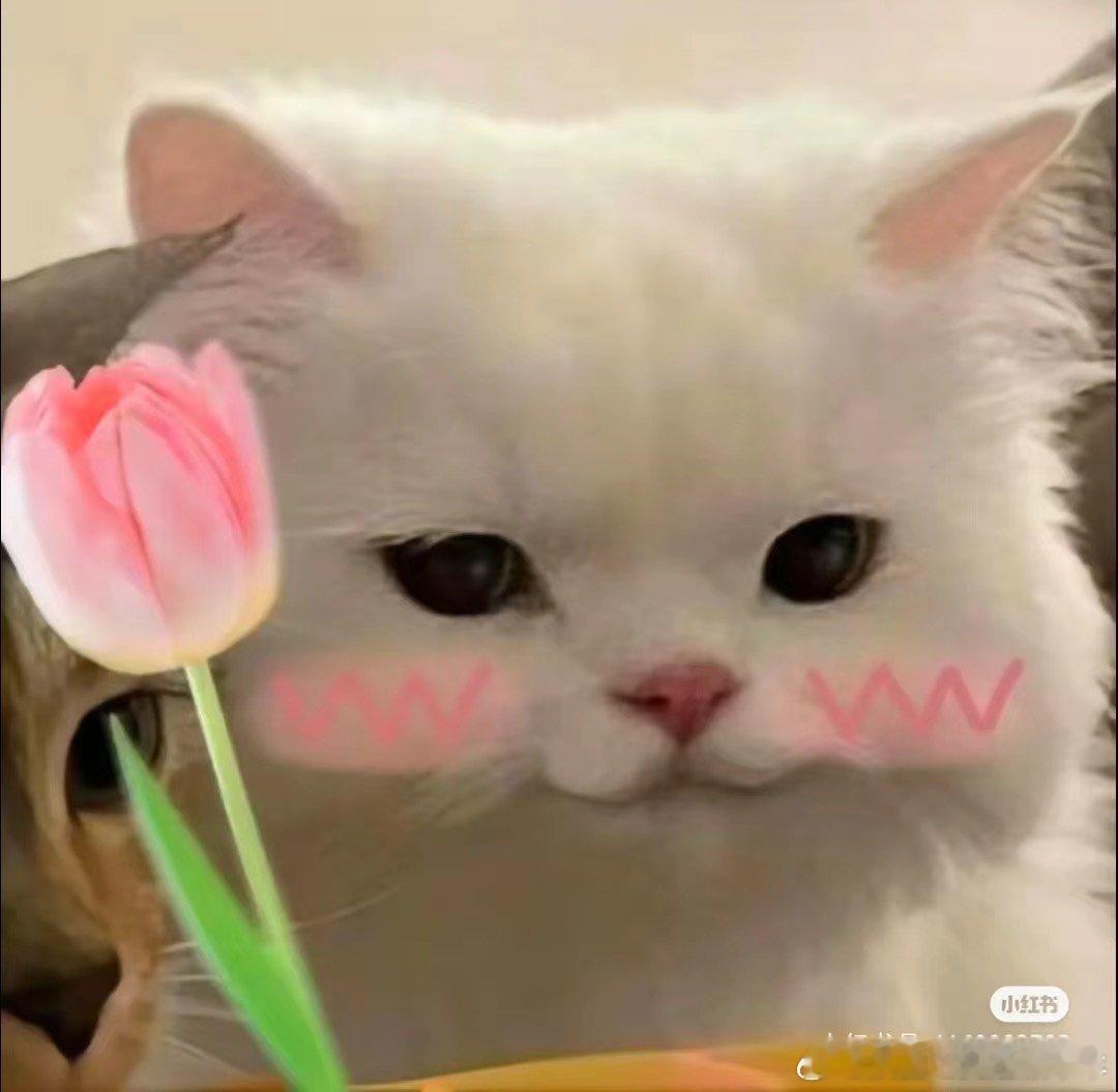 #爸爸10年暑假带娃打卡200多处古建筑#中国传统文化在这一刻具像化，爸爸带着孩