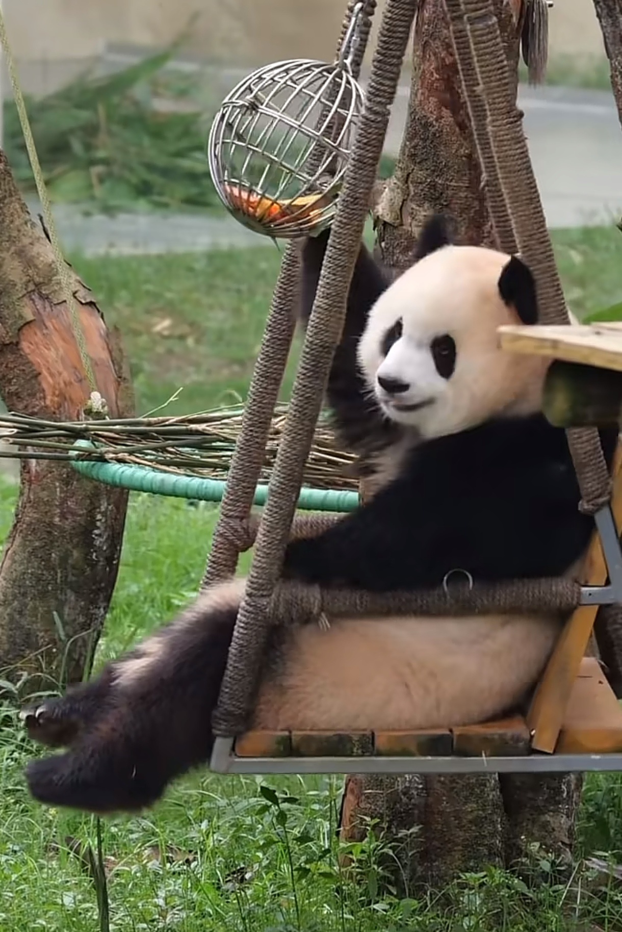 爱姐坐在秋千上好甜美