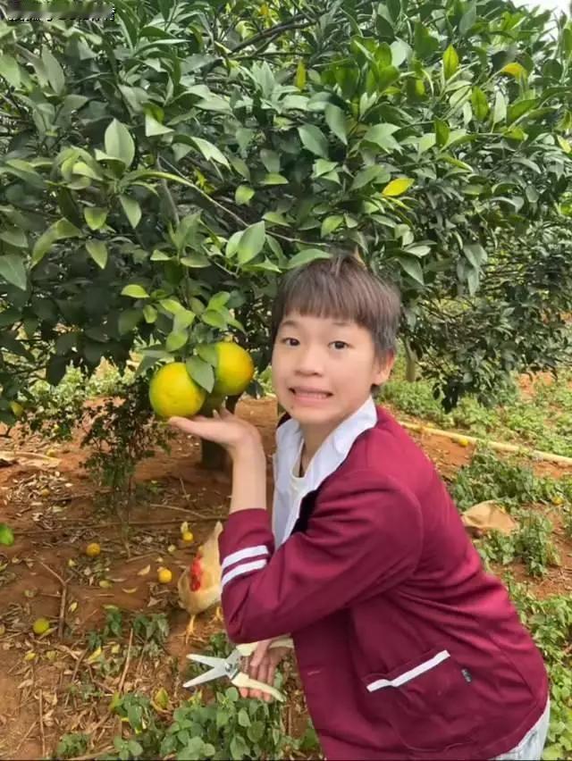 都说知识改变命运，全红婵用跳水的姿势改变了命运。她那封神一跳，七名裁判全打十分，